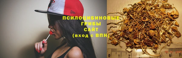 spice Аркадак