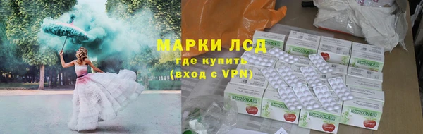 spice Аркадак