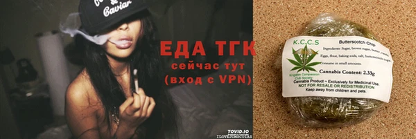 spice Аркадак