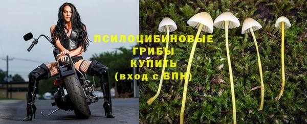 spice Аркадак